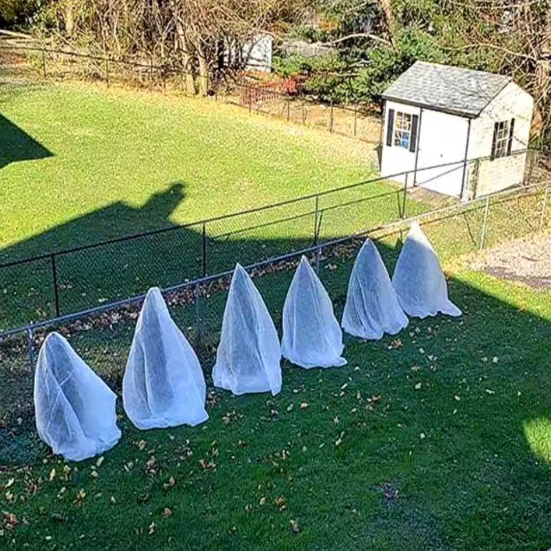 Copertura per Piante