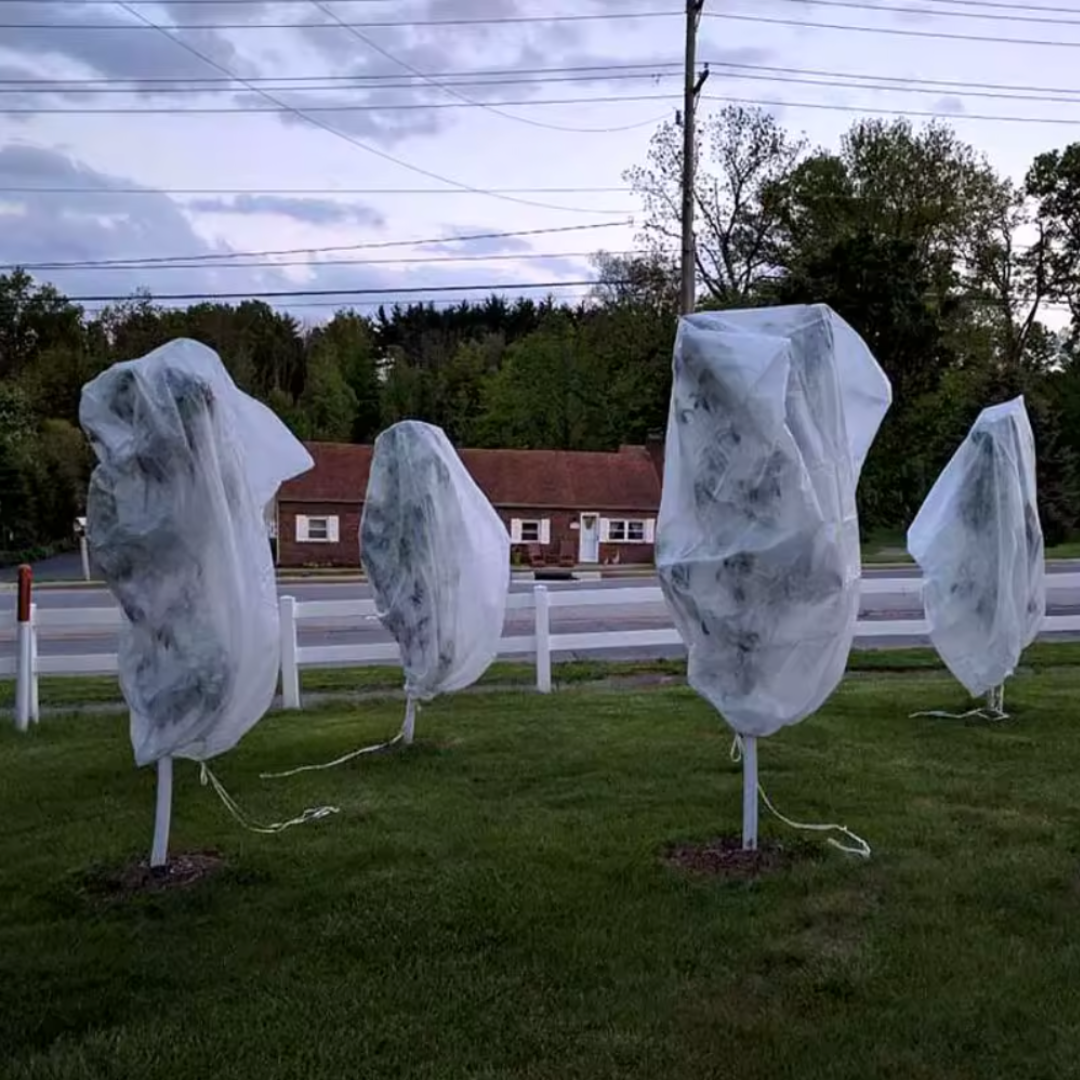 Copertura per Piante