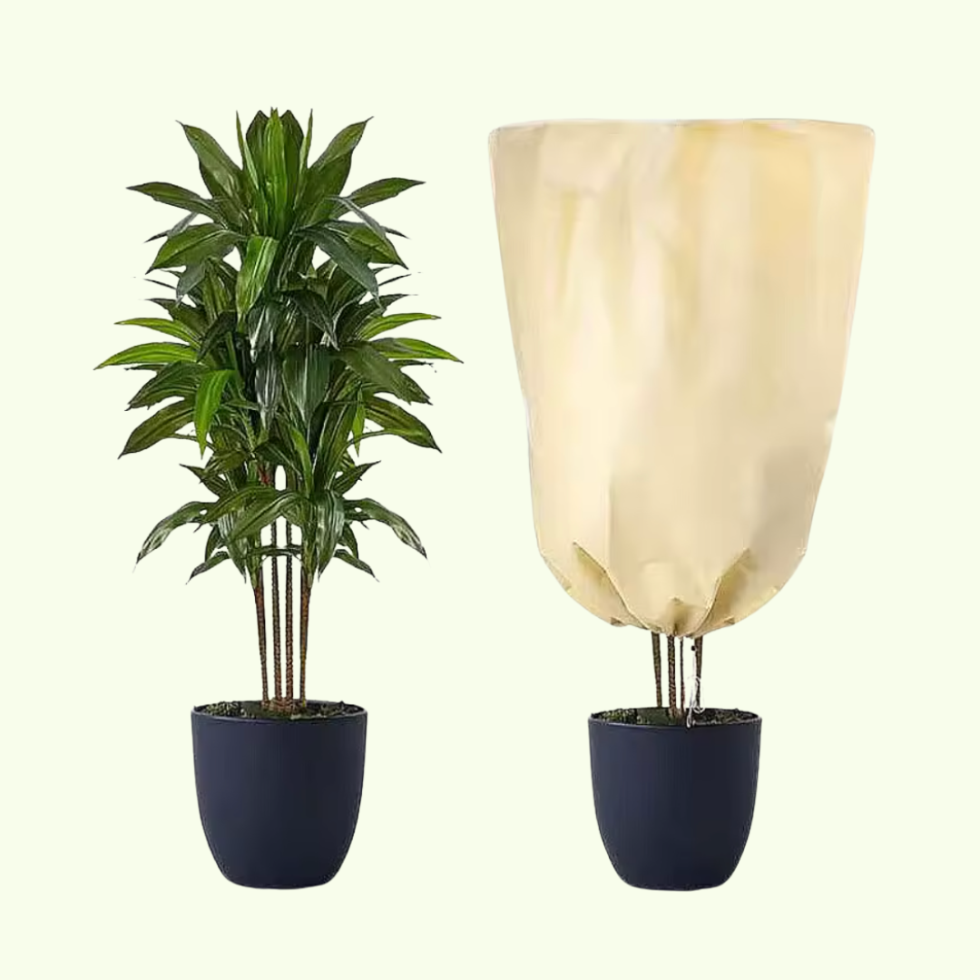 Copertura per Piante