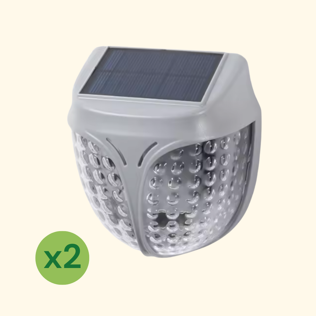 Luce Solare da Giardino per Fioriera