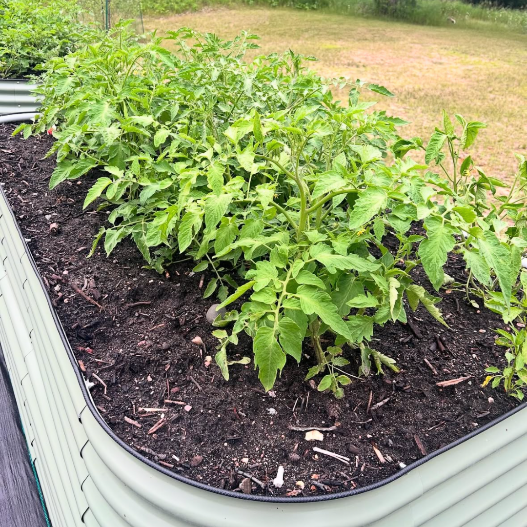 KIT Fioriera Rialzata H43cm x3 Verde