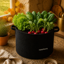 Box Stagionale Opplant — Edizione Autunno