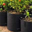 Box Stagionale Opplant — Edizione Autunno