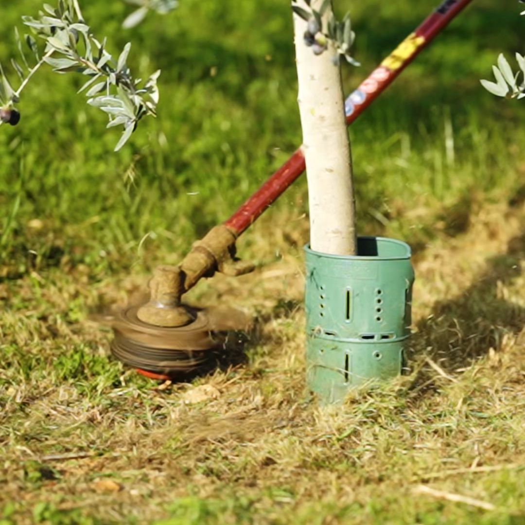 Protection Plant System