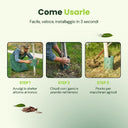 Protection Plant System