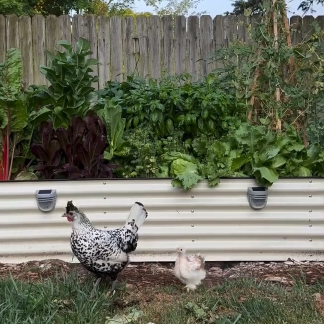 KIT Fioriera Rialzata H43cm x3