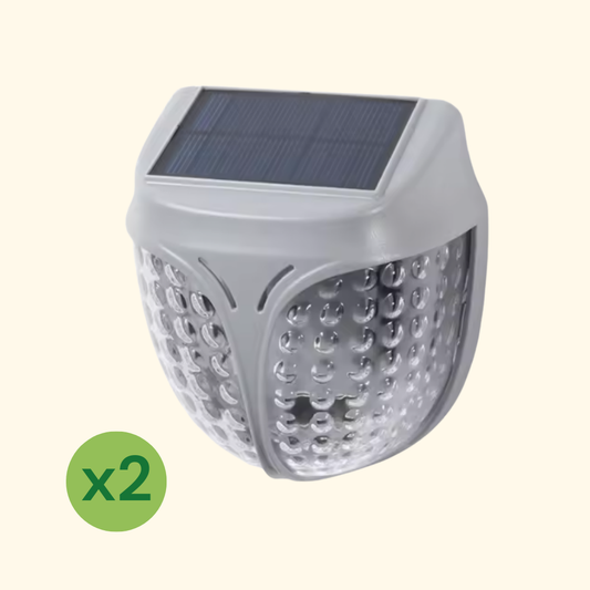 Luce Solare da Giardino per Fioriera