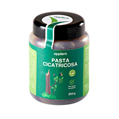 Pasta Cicatricosa