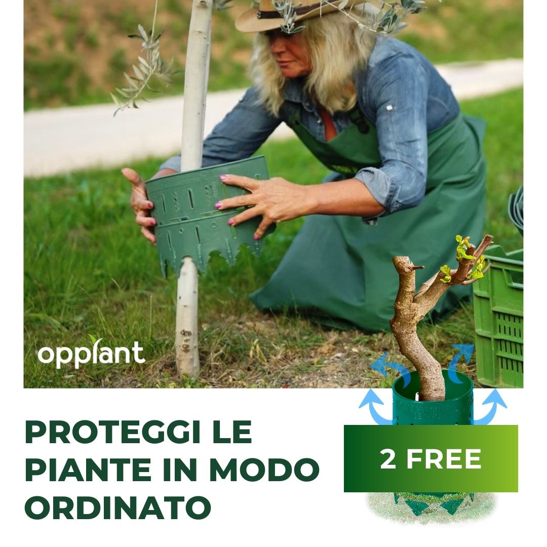 Plant Protection System